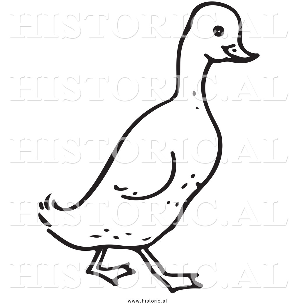clipart black and white duck - photo #21