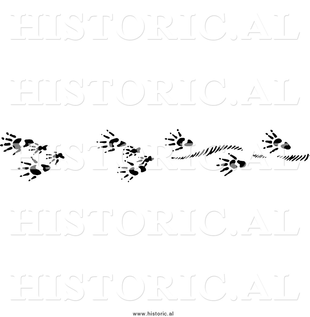 Clipart OfMuskrat Tracks - Black and White Drawing by Al ...