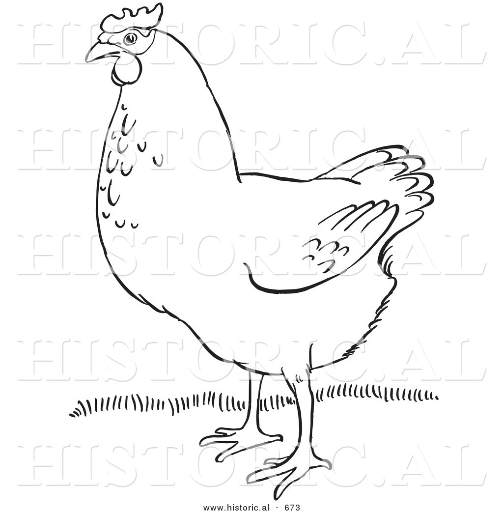 clipart chicken outline - photo #47