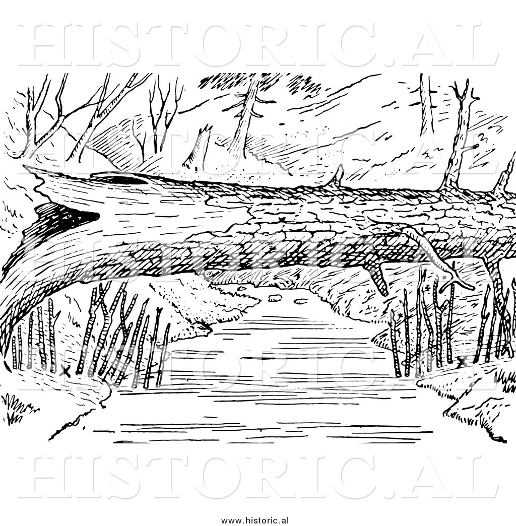 clipart black and white log - photo #34