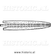 January 5th, 2014: Clipart of a Mink Fur Pattern Stretching Board Tool - Black and White Line Art by Al