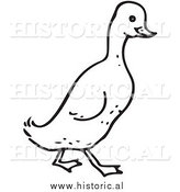 Clipart of a Walking Duck - Black and White Drawing by Al