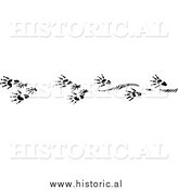 Clipart OfMuskrat Tracks - Black and White Drawing by Al