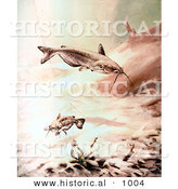 Historical Illustration of a Channel Catfish Swimming near a Crawdad and Fishing Hook by Al