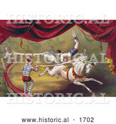 Historical Illustration of a Circus Acrobat Doing a Hand Stand on a Horse by Al