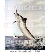 Historical Illustration of a Striped Marlin Fish Jumping Towards a Baited Fishing Line with a Boat in the Background by Al