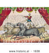 Historical Illustration of an Audience Watching a Man Standing on the Back of Two Horses, Controlling Them with the Reins by Al