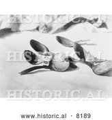 September 15th, 2013: Historical Image of Elk Horn Spoons 1923 - Black and White by Al