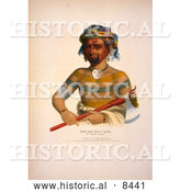Historical Image of Ioway Indian Chief Named Shau-Hau-Napo-Tinia by Al