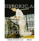 Historical Photo of a Female Riveter Assembling Airplanes by Al