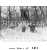 Historical Photo of Apsaroke Woman Bringing Firewood to Tipi 1908 - Black and White by Al
