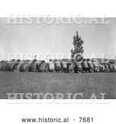 Historical Photo of Arikara Shamans Around a Sacred Cedar Tree 1908 - Black and White by Al
