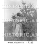 December 13th, 2013: Historical Photo of Buffalo Berry Gatherers 1908 - Black and White by Al