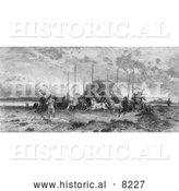 Historical Photo of Herding Horses 1883 - Black and White by Al