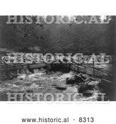 Historical Photo of Hupa Trout Trap 1923 - Black and White Version by Al