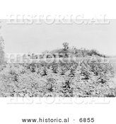 Historical Photo of Monk’s Mound, Cahokia, Illinois 1907 - Black and White Version by Al