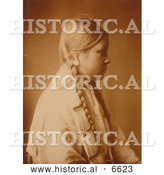 December 14th, 2013: Historical Photo of Profile of a Cheyenne Native Woman 1905 - Sepia by Al