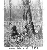 Historical Photo of Tapping Maple Syrup 1908 - Black and White Version by Al
