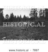 Historical Photo of Yakima Root Digger 1909 - Black and White by Al