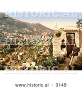 Historical Photochrom of a Cemetery, Algiers, Algeria by Al