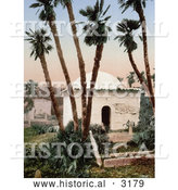 Historical Photochrom of a Chapel Under Palm Trees at a Cemetery, Algeria by Al