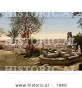 Historical Photochrom of a Fountain in the Garden at Carthage, Tunisia in 1899 by Al