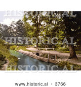 Historical Photochrom of a Gated Dirt Road Along the River Lemon in Bradley Woods Newton Abbott Wiltshire England by Al