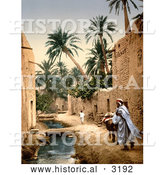 Historical Photochrom of a Man, Mule and Boy in Biskra, Algeria by Al