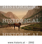 Historical Photochrom of a Norwegian Woman in a Carriage, Hardanger Fjord by Al