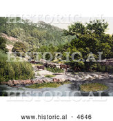 Historical Photochrom of Cattle at the River Wye in Millers Dale Derbyshire England by Al