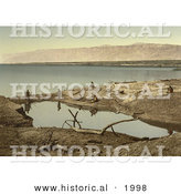 Historical Photochrom of Driftwood and Puddle on the Shore of the Dead Sea by Al