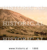 Historical Photochrom of Horse Drawn Carriages, Dirt Road and Railway Station at Mt Vesuvius by Al