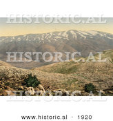 Historical Photochrom of Mount Hermon in Lebanon by Al