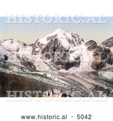 Historical Photochrom of Ortler Territory, Schaubachhutte with Konigspitze, Tyrol, Austria by Al