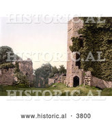 Historical Photochrom of Overgrown Ivy on the Ruins of the Octagonal Tower at Goodrich Castle in Goodrich Herefordshire England by Al