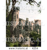 Historical Photochrom of the Ruins of the Raglan Castle or Castell Rhaglan Covered in Ivy Monmouthshire Wales England by Al