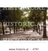 Historical Photochrom of the Tree Lined Promenade Looking Towards Hight Street in Cheltenham, Gloucestershire, England by Al
