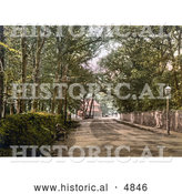Historical Photochrom of the Tree Lined Upper Bognor Road in Bognor Regis, England by Al