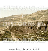 Historical Photochrom of the Valley of the Tombs of Jehoshaphat, Jerusalem, Israel by Al