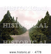 Historical Photochrom of Wellingtonia Avenue in Camberley, Surrey, England, United Kingdom by Al