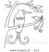 Historical Vector Illustration of a 2 Birds of Paradise in a Tree - Outlined Version by Al