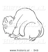 Historical Vector Illustration of a Bison Laying on the Ground - Outlined Version by Al