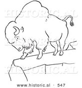 Historical Vector Illustration of a Bison Standing on a Cliff - Outlined Version by Al