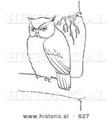 Historical Vector Illustration of a Owl Staring While in a Tree - Outlined Version by Al