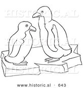 Historical Vector Illustration of a Penguins on Floating Ice- Outlined Version by Al