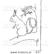 Historical Vector Illustration of a Squirrel Standing and Staring on a Pine Tree Branch - Outlined Version by Al
