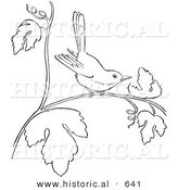 Historical Vector Illustration of a Wren on a Tree Branch with Leaves - Outlined Version by Al