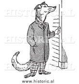 Illustration of a Cartoon Wolf Ringing Doorbell by Al