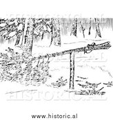 February 26th, 2014: Illustration of a Marten Trap Set in the Wild - Black and White by Al
