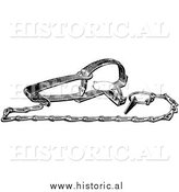 Illustration of a Quality Steel Muskrat Trap - Black and White by Al